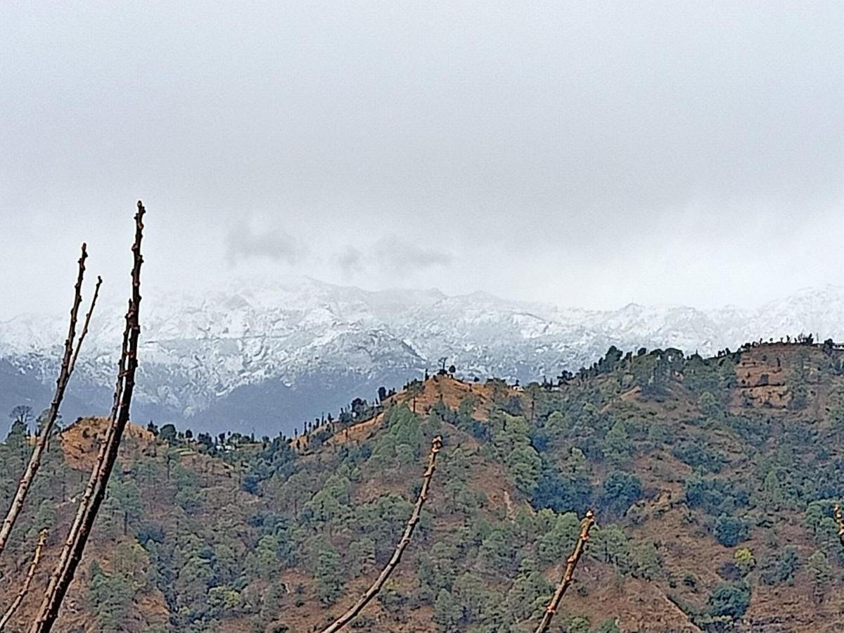 Shiva Valley Resort Kokhliyal Gaon 外观 照片