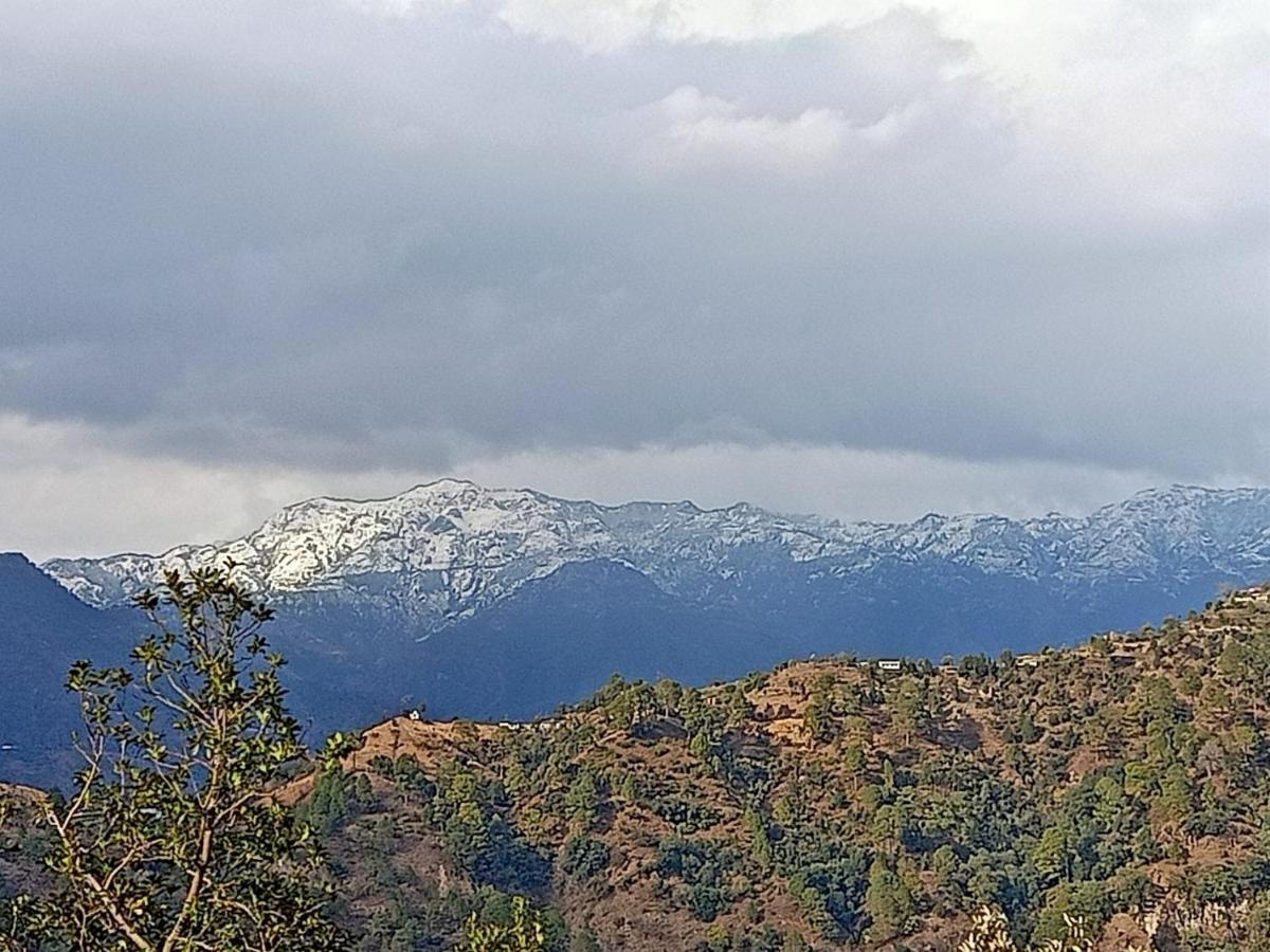 Shiva Valley Resort Kokhliyal Gaon 外观 照片