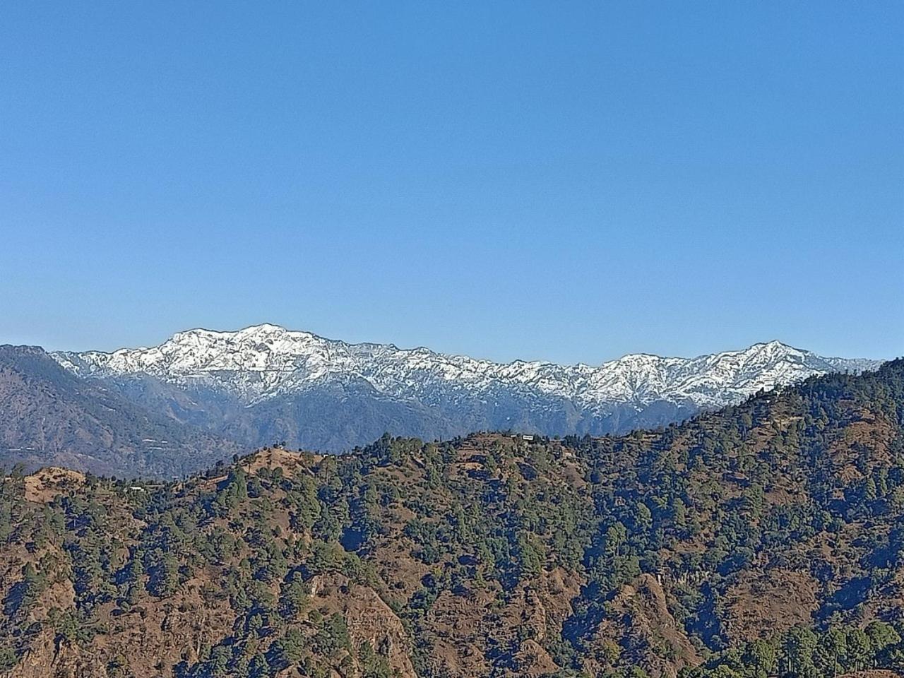 Shiva Valley Resort Kokhliyal Gaon 外观 照片